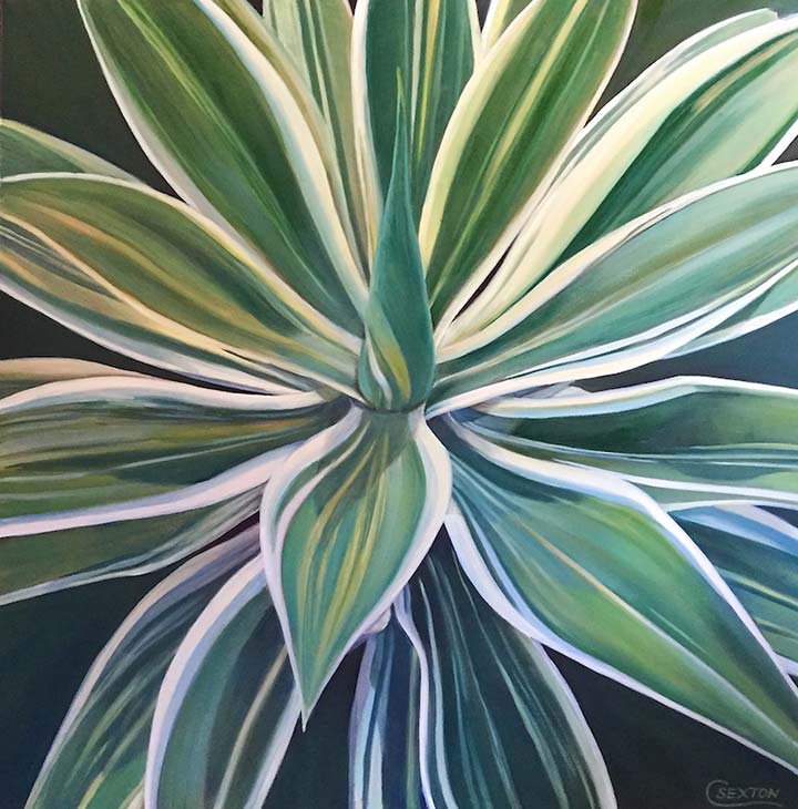 Supplied Image: Proud Agave by Carol Sexton