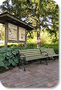 Hostas and Benches