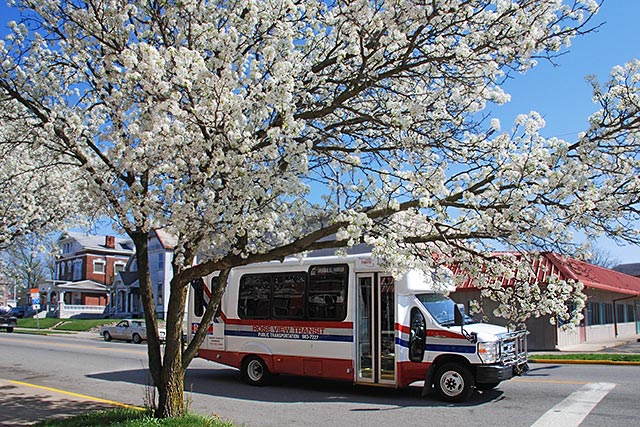 Photo: Rose View Transit Bus